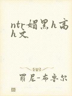 ntr媚黑h高h文封面