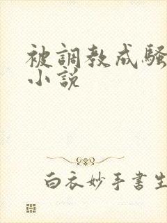 被调教成骚母狗小说封面