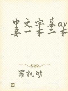 中文字幕av人妻一本二本封面