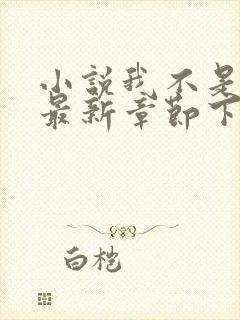 小说我不是戏神最新章节下载