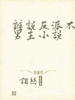 谁说反派不能当男主小说