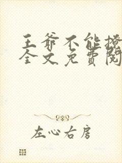 王爷不能撩小说全文免费阅读