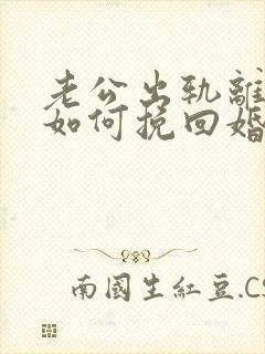 老公出轨离婚后如何挽回婚姻