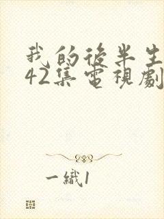 我的后半生免费42集电视剧封面