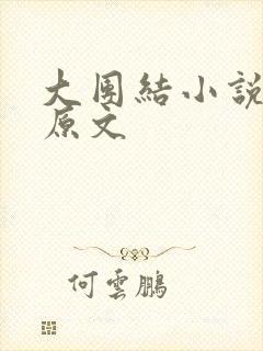 大团结小说阅读原文