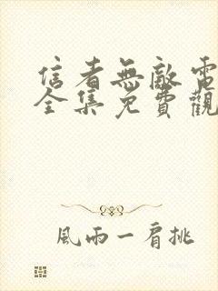 信者无敌电视剧全集免费观看剧情