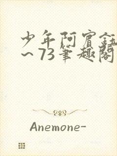 少年阿宾钰慧1～73笔趣阁txt封面