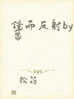 镜面反射by九葛