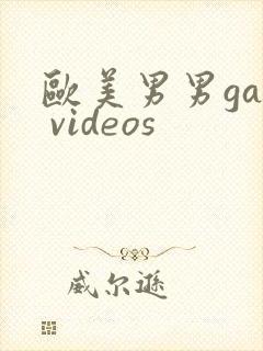 欧美男男gay videos