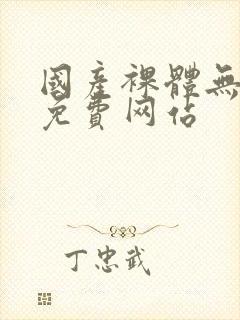 国产裸体无遮挡免费网站