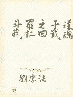 斗罗之千道流把我扛回武魂殿