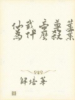 仙武帝尊叶星辰为什么杀叶辰