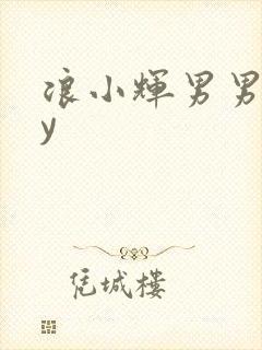 浪小辉男男gay