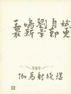 王鸣刘月娥小说最新章节更新时间