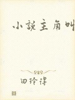 小说主角叫刘芒封面