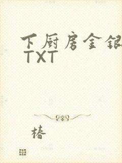 下厨房金银花露 TXT封面