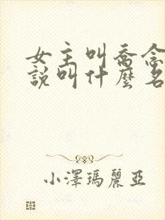 女主叫乔念的小说叫什么名字封面