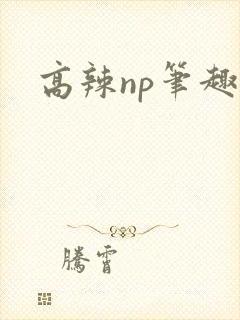 高辣np笔趣阁
