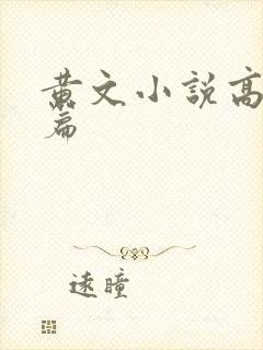 黄文小说高h短篇