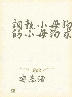 调教小母狗 操的小母狗求饶