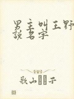 男主叫王野的小说名字封面