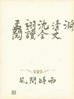 孟翊沈清漪免费阅读全文