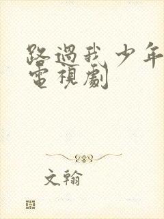 路过我少年时光电视剧