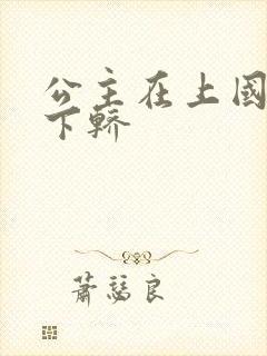 公主在上国师请下轿