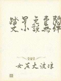 踏星免费阅读全文小说无弹窗封面