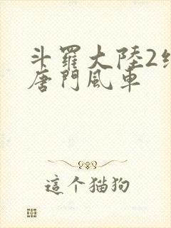 斗罗大陆2绝世唐门风车