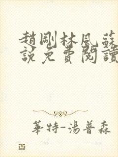 赵刚林风苏柔小说免费阅读