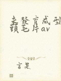 未发育成型小奶头毛片av