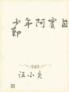 少年阿宾目录章节