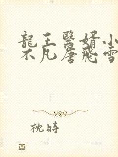 龙王医婿小说叶不凡唐飞雪封面