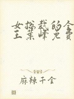 女总裁的全能兵王叶峰免费阅读