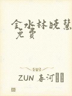 金水林晓慧小说 免费