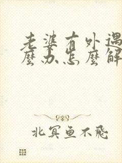 老婆有外遇了怎么办怎么解决第三者