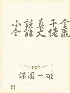 小说真千金她是全能大佬嬴子衿正版