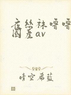 夜丝袜噜噜精品国产av