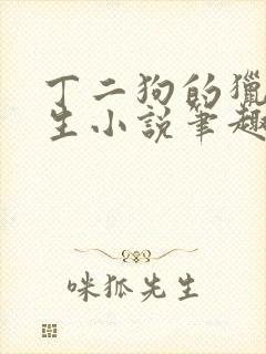 丁二狗的猎艳人生小说笔趣阁封面