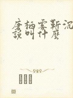 唐栖雾靳沉野小说叫什么封面