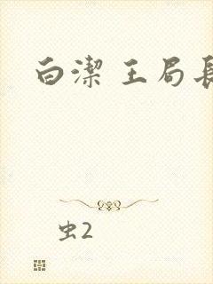 白洁 王局长封面