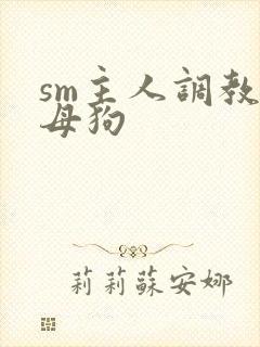 sm主人调教小母狗封面