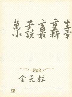 万子玄重生官场小说最新章节