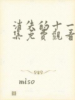 消失的十一层全集免费观看封面