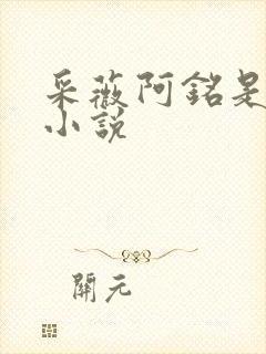 采薇阿铭是什么小说