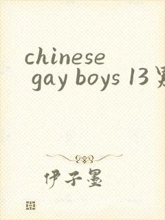 chinese gay boys 13男同视频封面