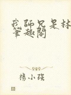 我师兄是林正英笔趣阁