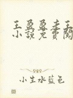 王盈盈老王继女小说免费阅读