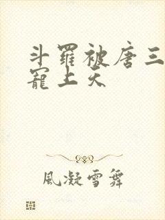 斗罗被唐三哥哥宠上天